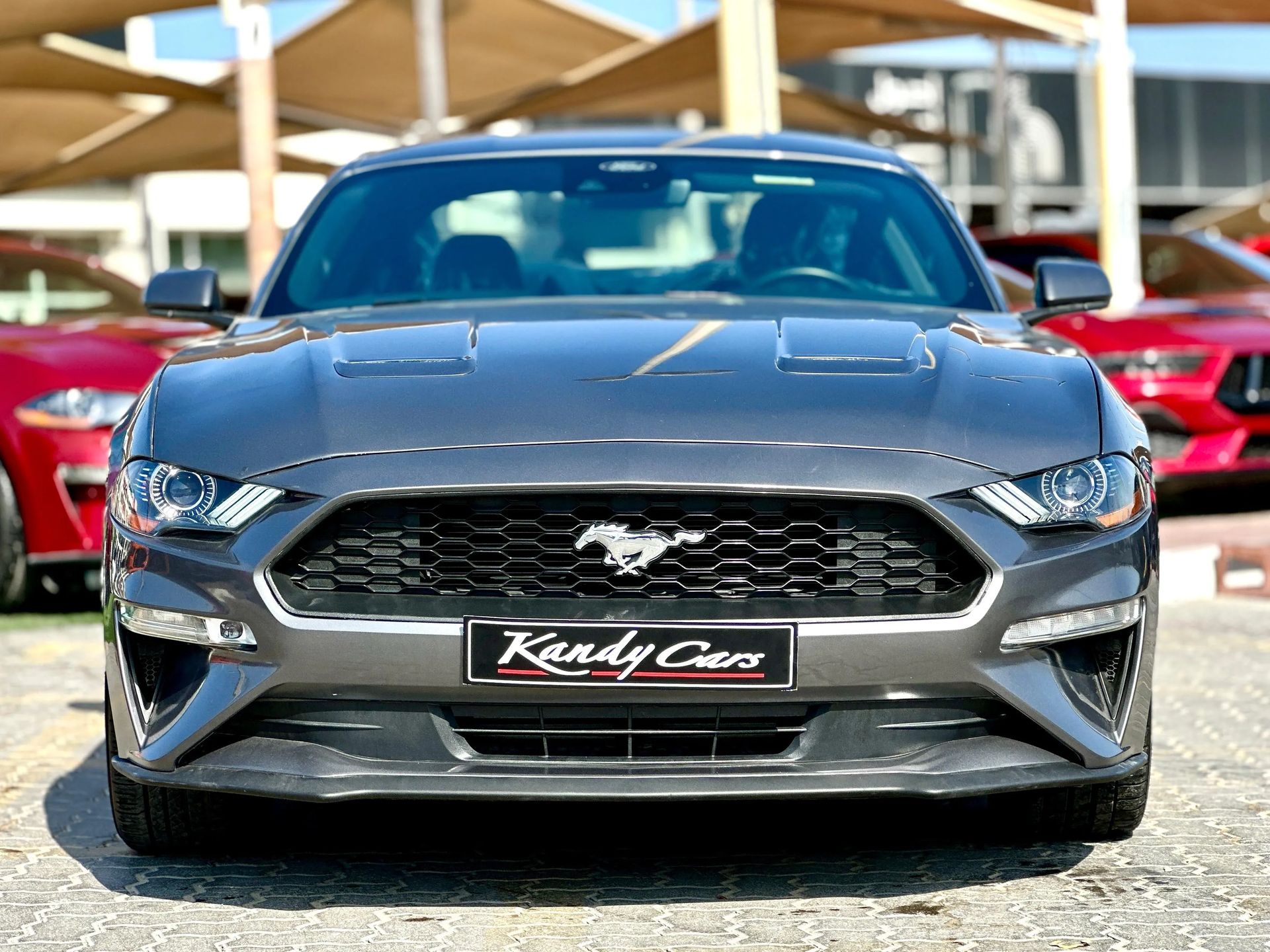 2023 Ford Mustang photo 2
