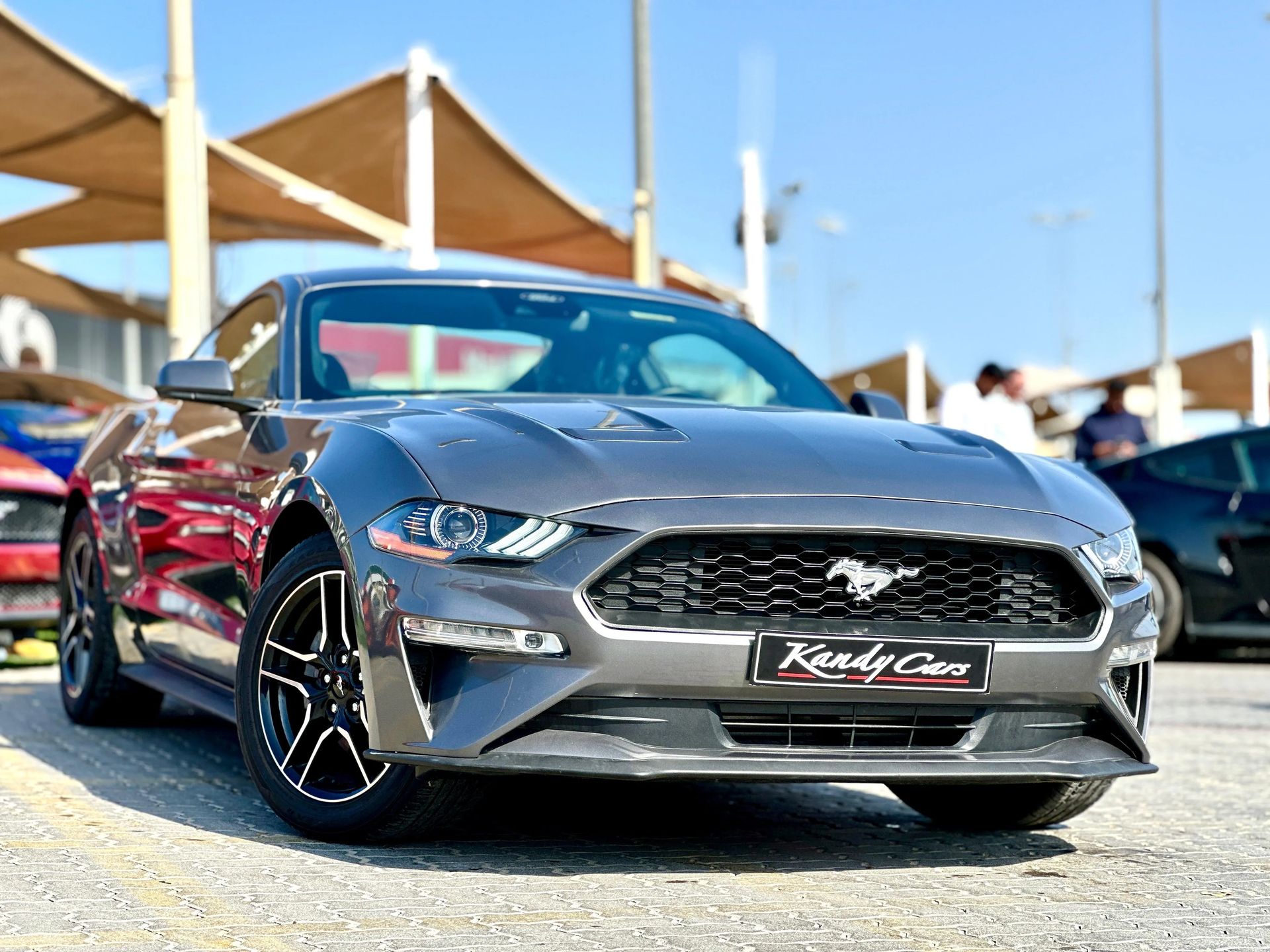 2023 Ford Mustang photo 3