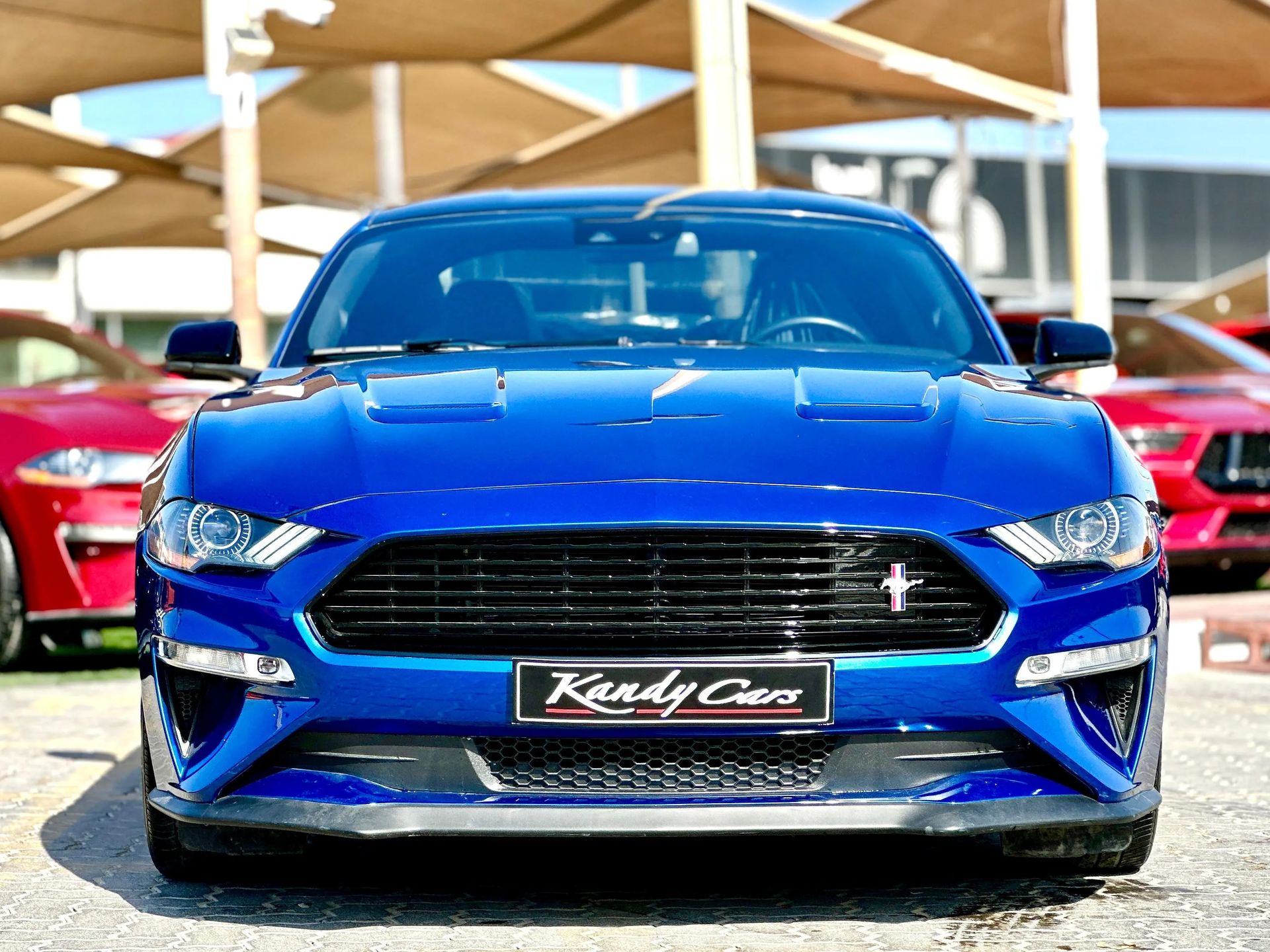 2023 Ford Mustang photo 2