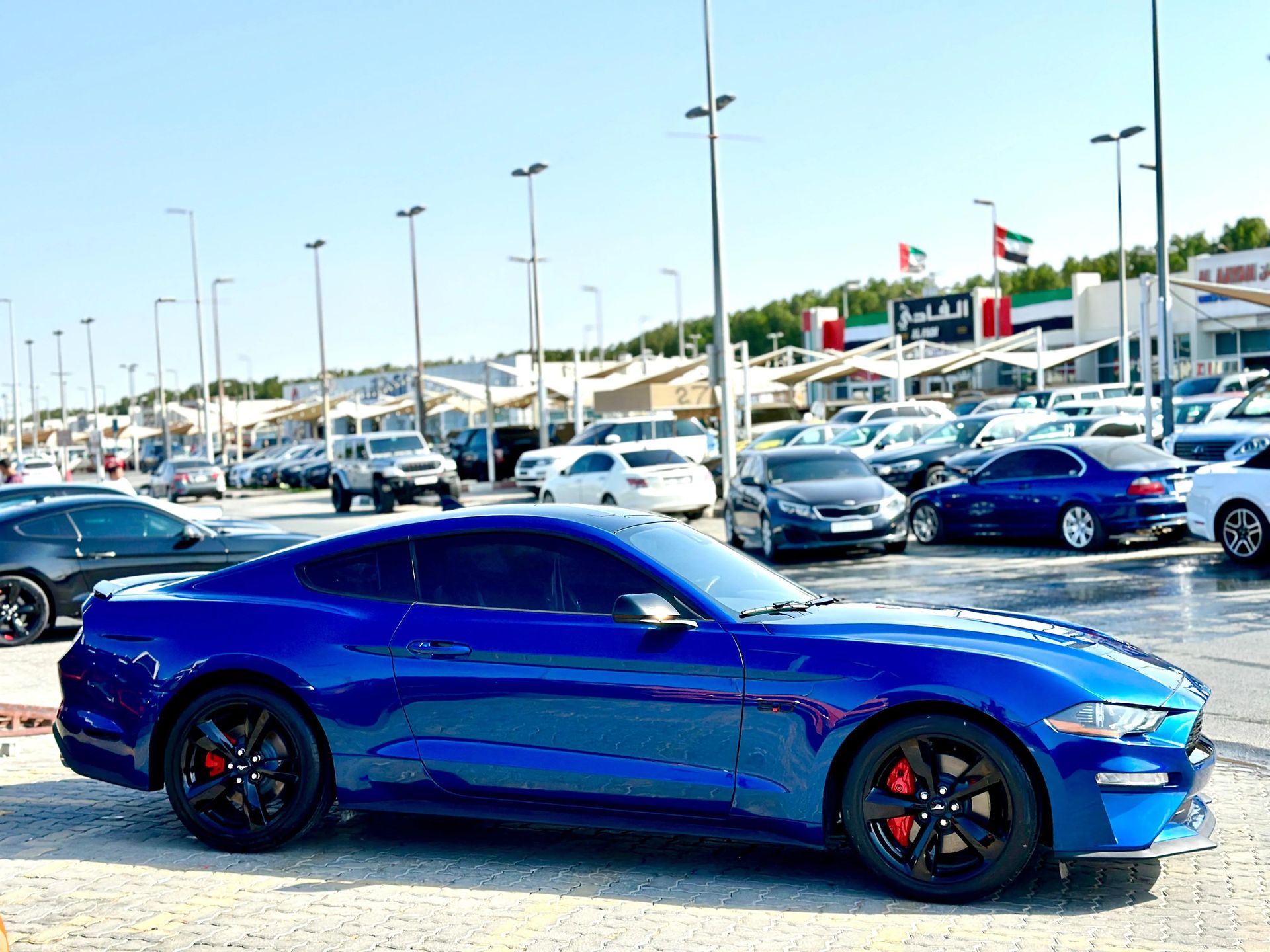 2023 Ford Mustang photo 4