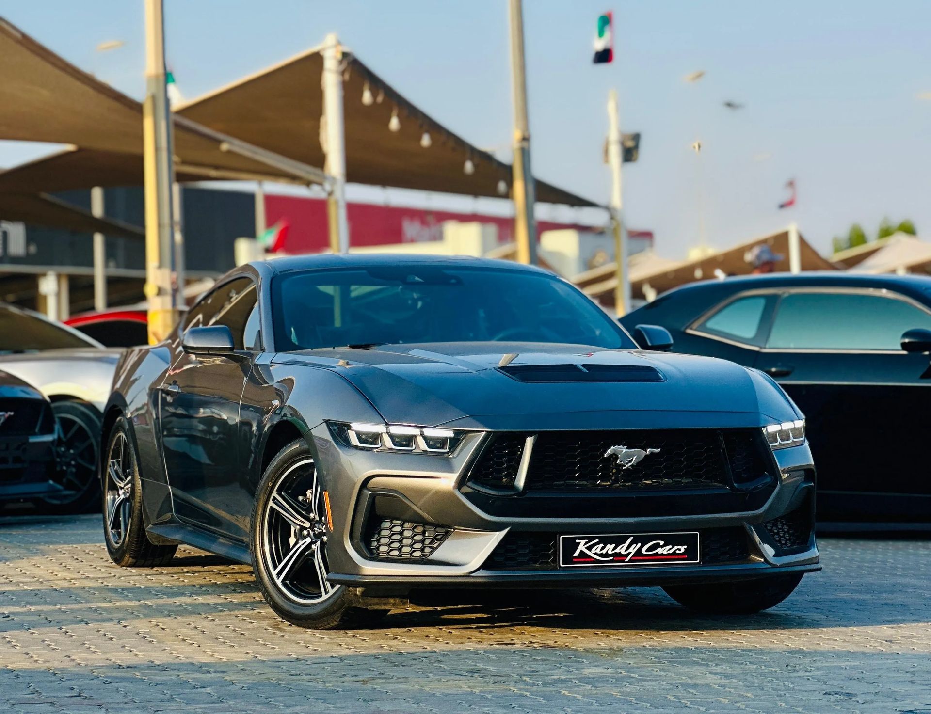 2024 Ford Mustang photo 2