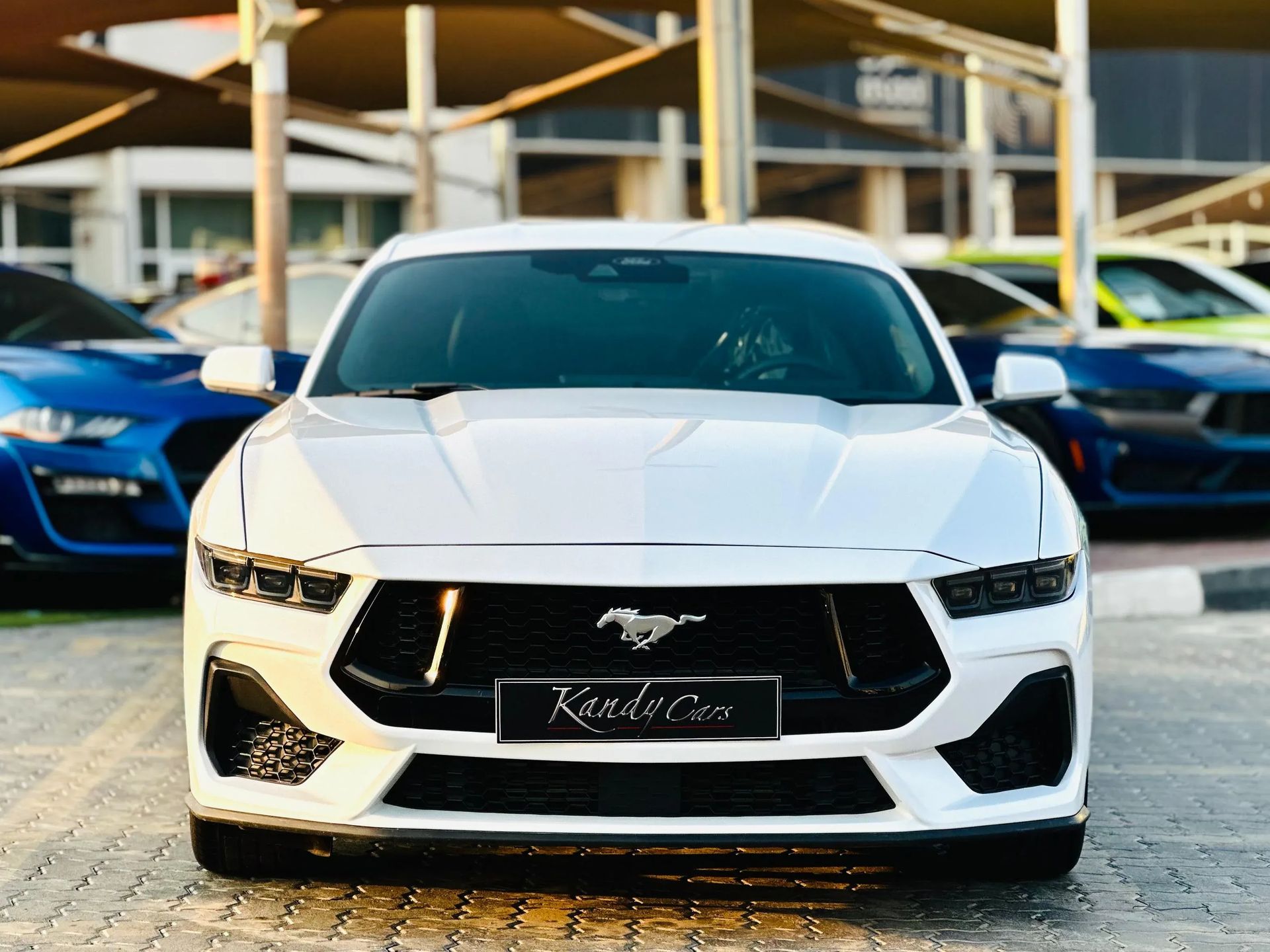 2024 Ford Mustang photo 2