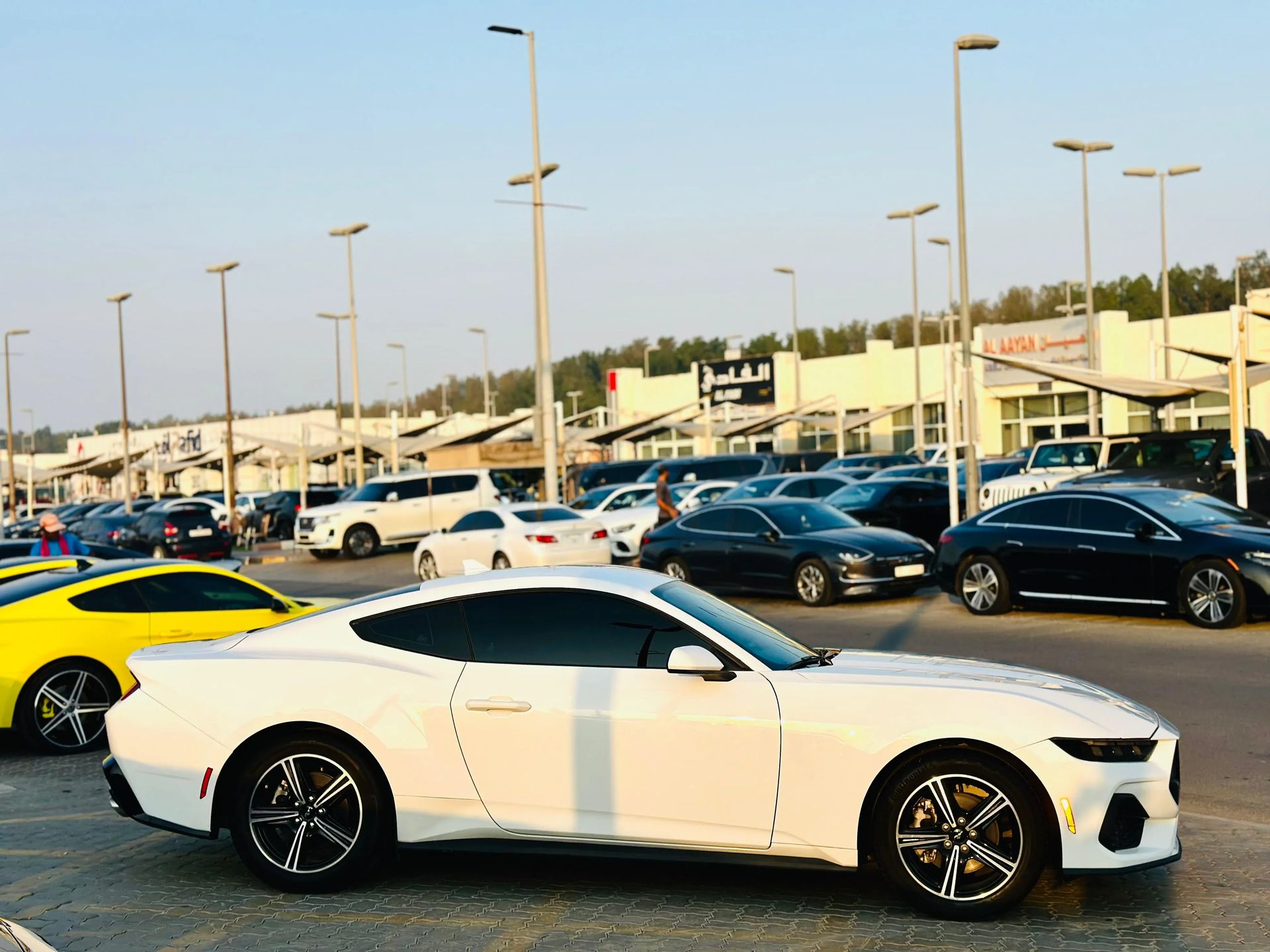 2024 Ford Mustang photo 4