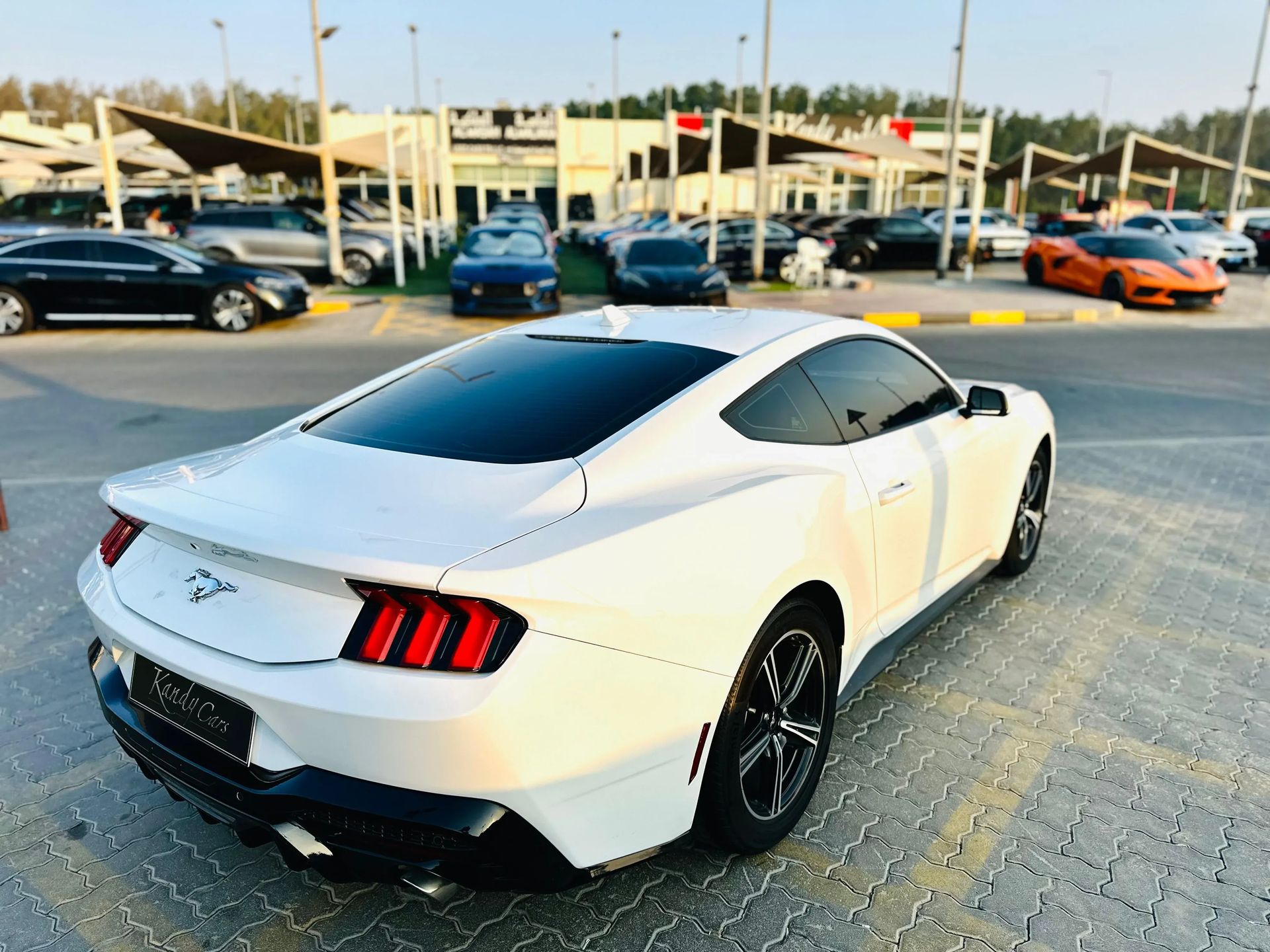 2024 Ford Mustang photo 5