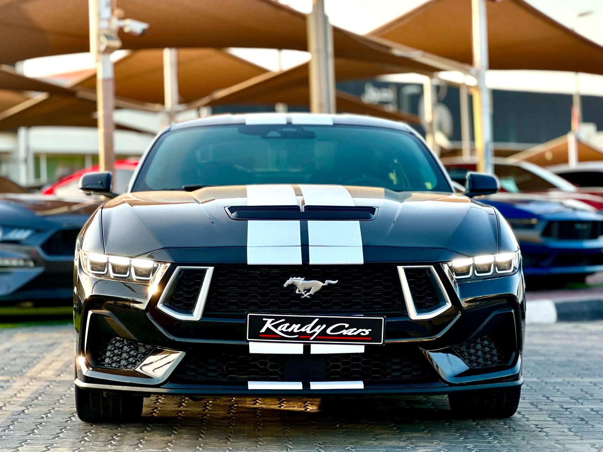 2024 Ford Mustang photo 2