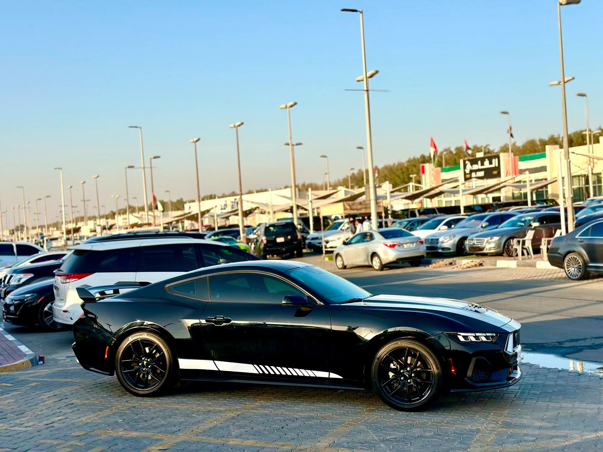 2024 Ford Mustang photo 4