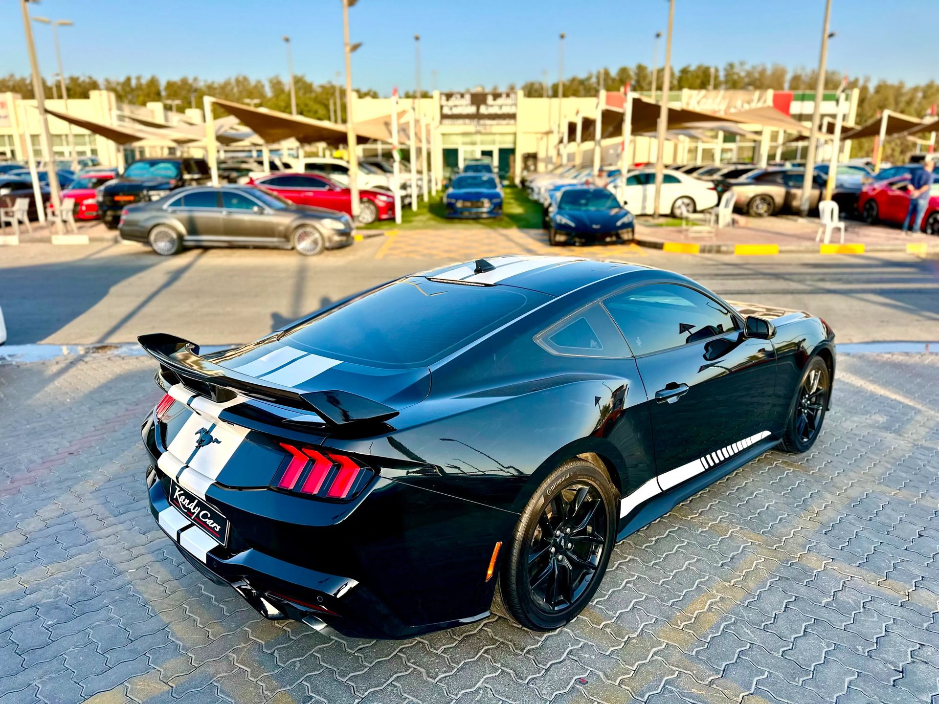 2024 Ford Mustang photo 5