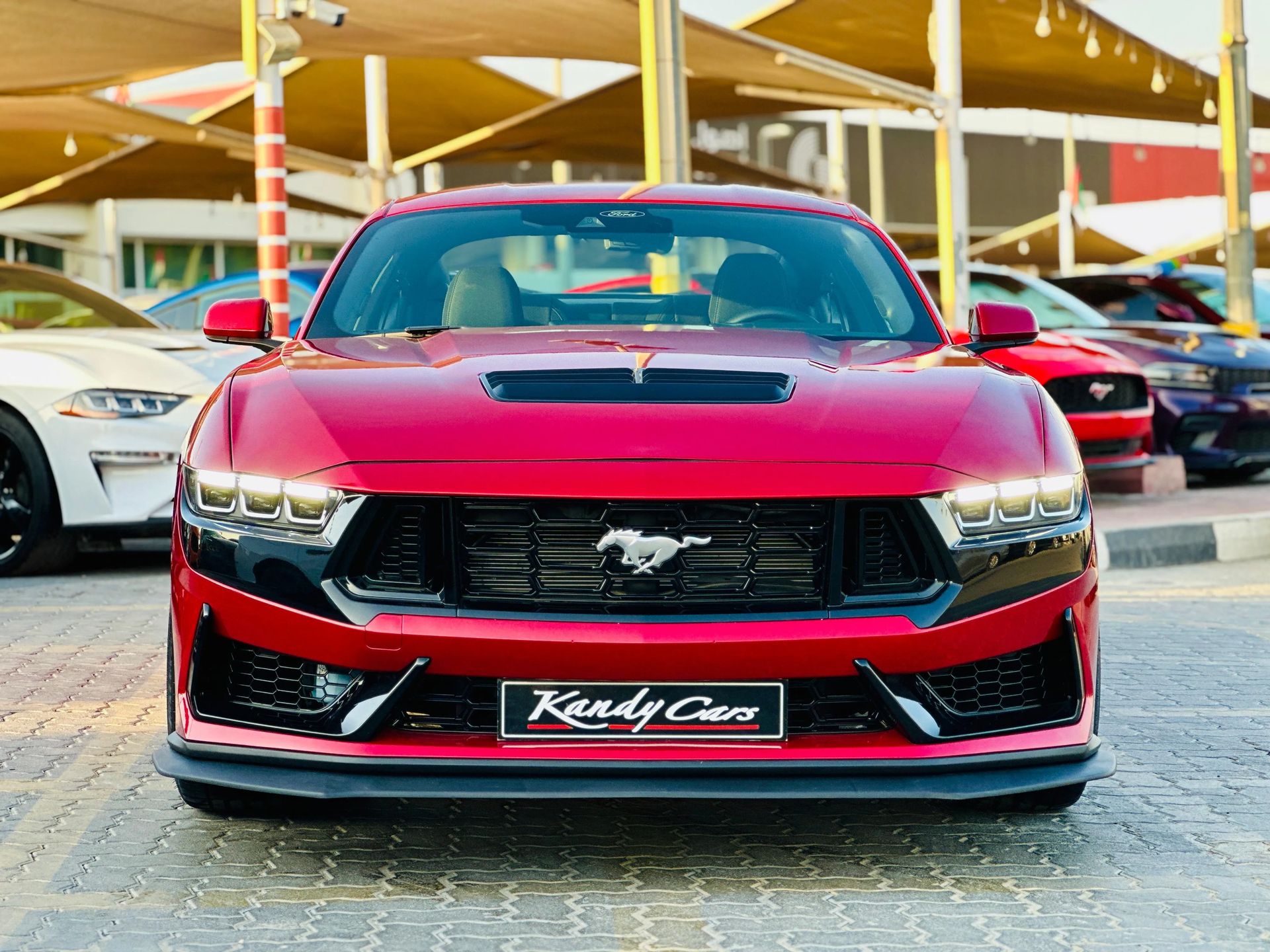 2024 Ford Mustang photo 2