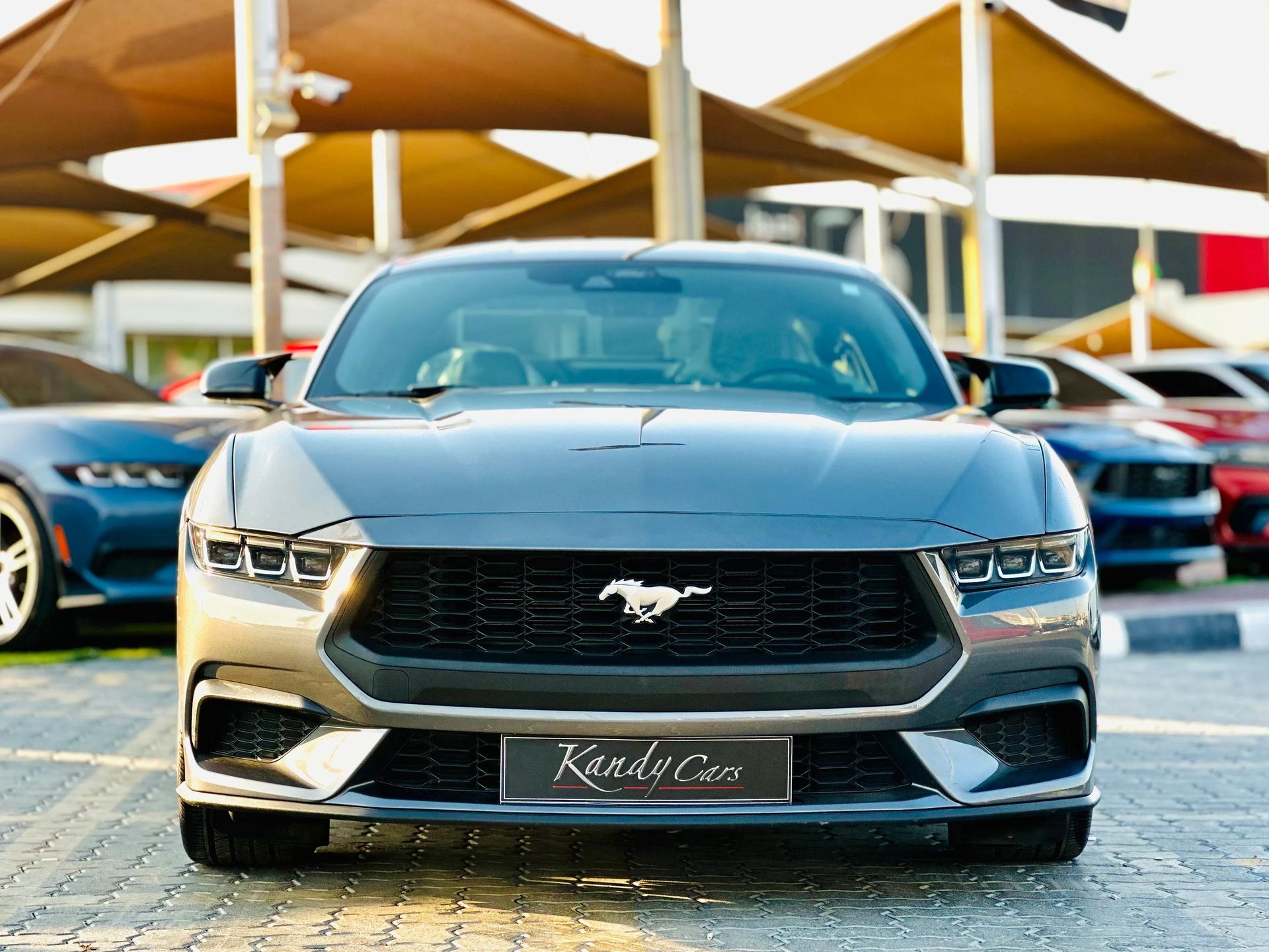 2024 Ford Mustang photo 2