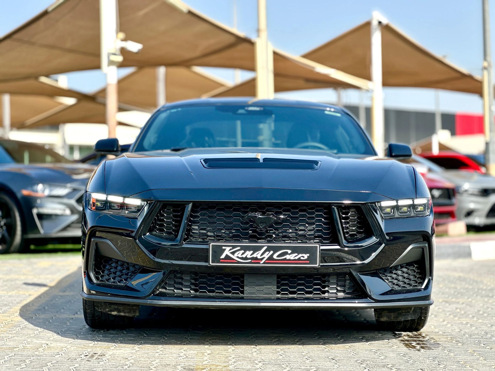 2024 Ford Mustang photo 2