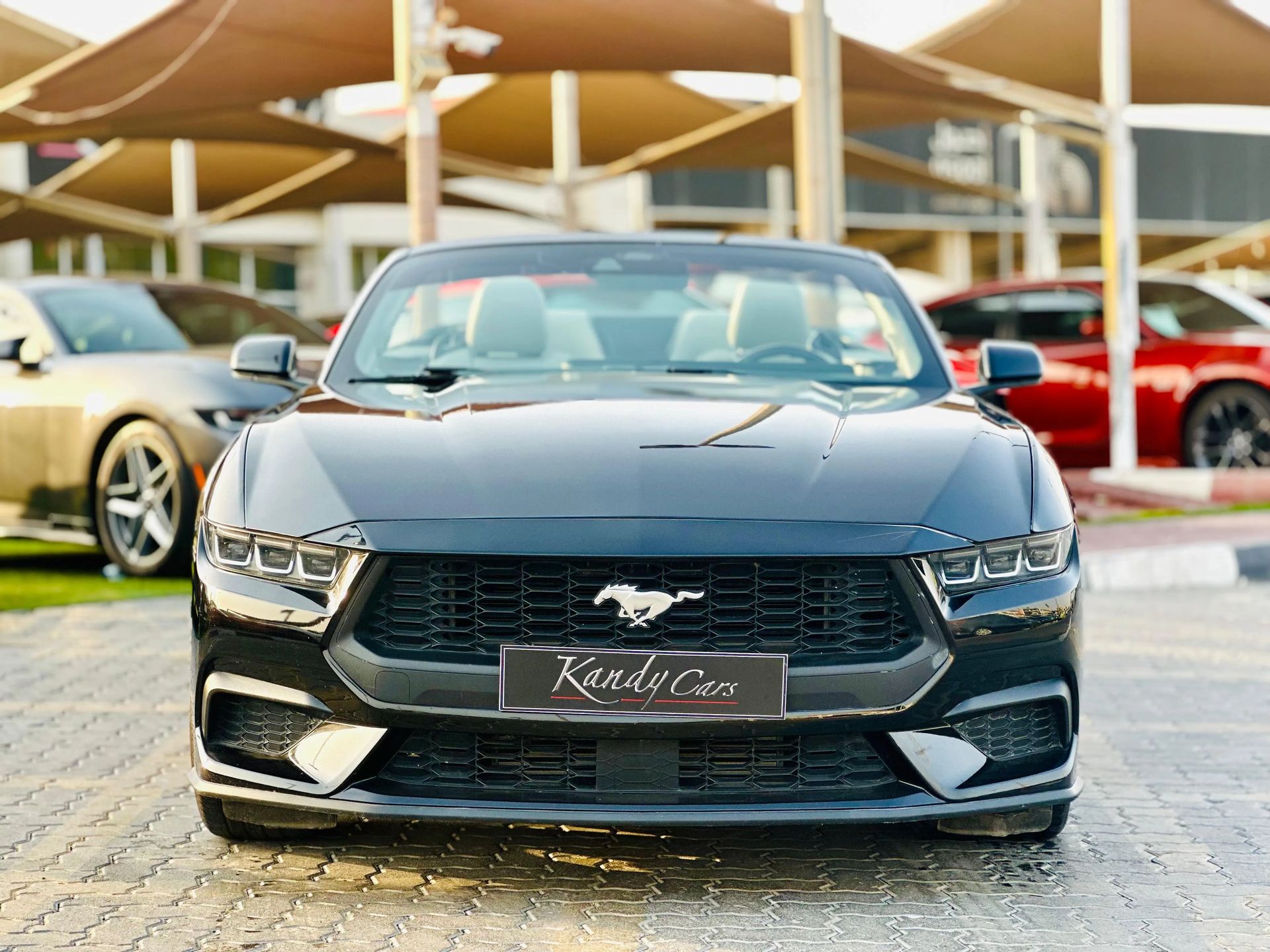 2024 Ford Mustang photo 2