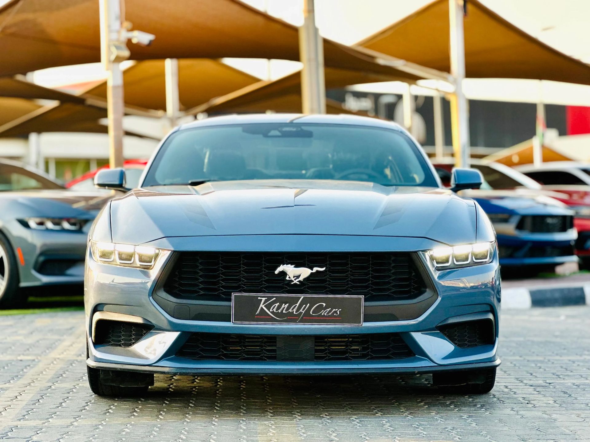 2024 Ford Mustang photo 2