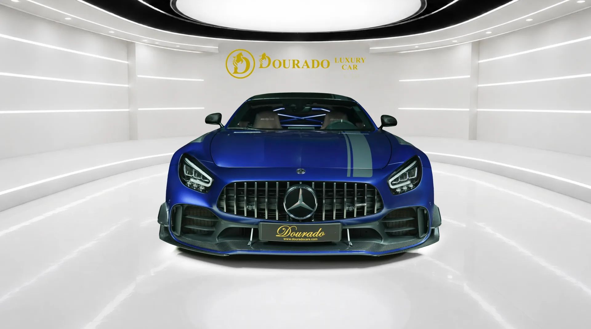 2019 Mercedes-Benz AMG GTR photo 2