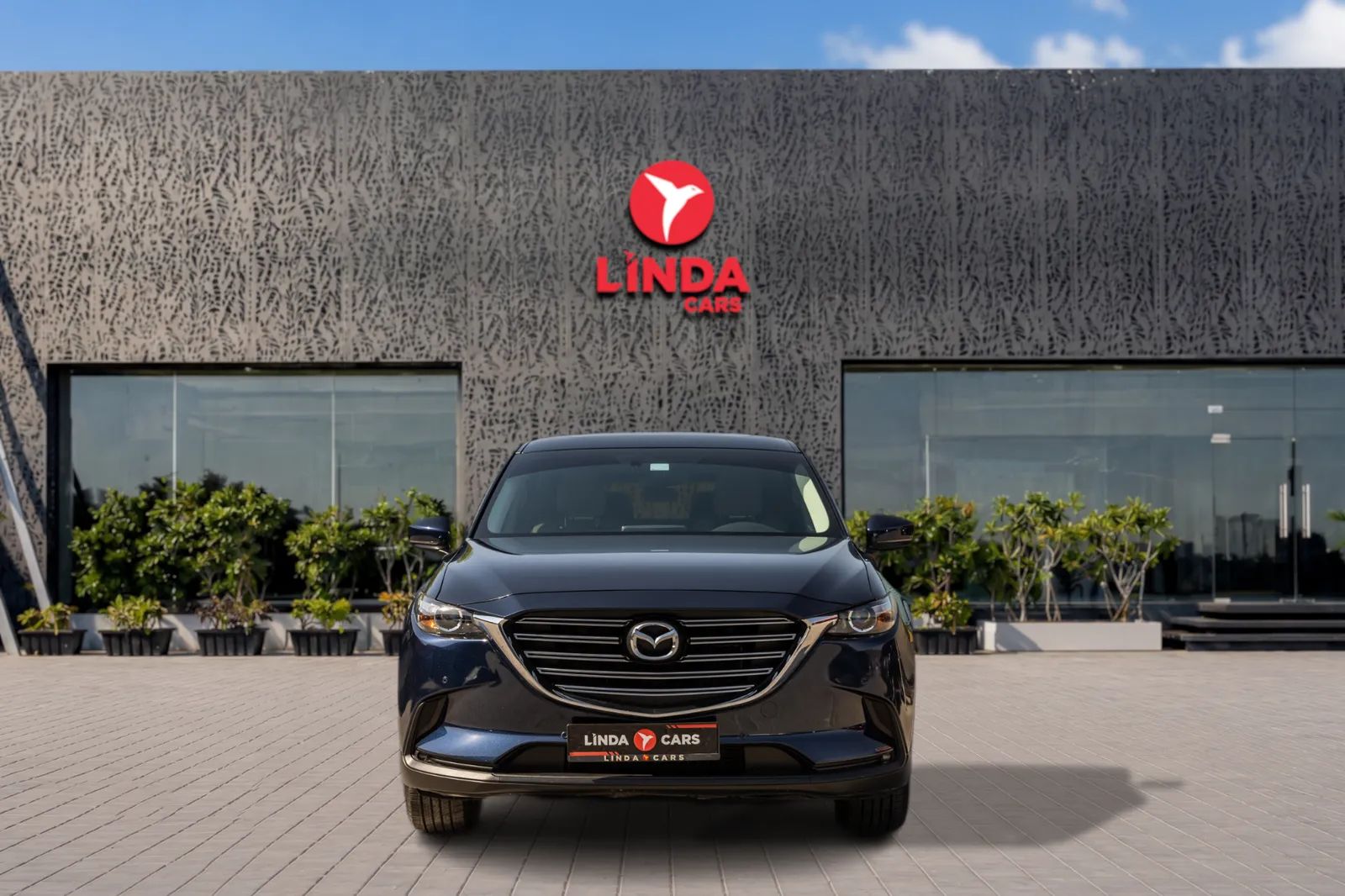 2022 Mazda CX-9 photo 2