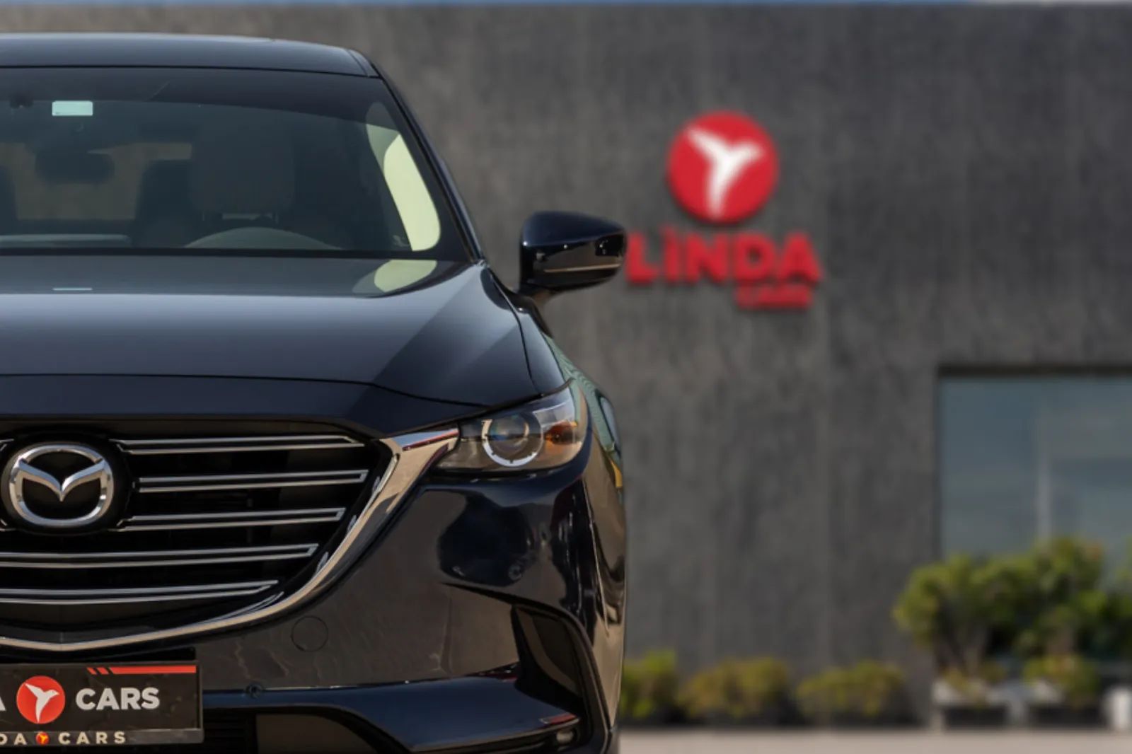 2022 Mazda CX-9 photo 3