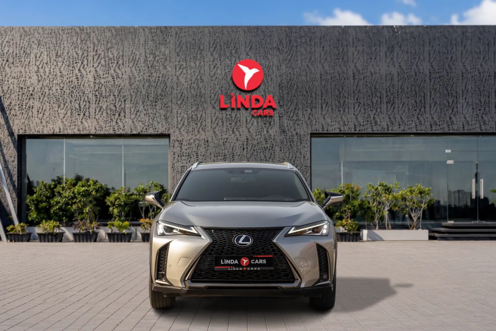 2022 Lexus UX photo 2