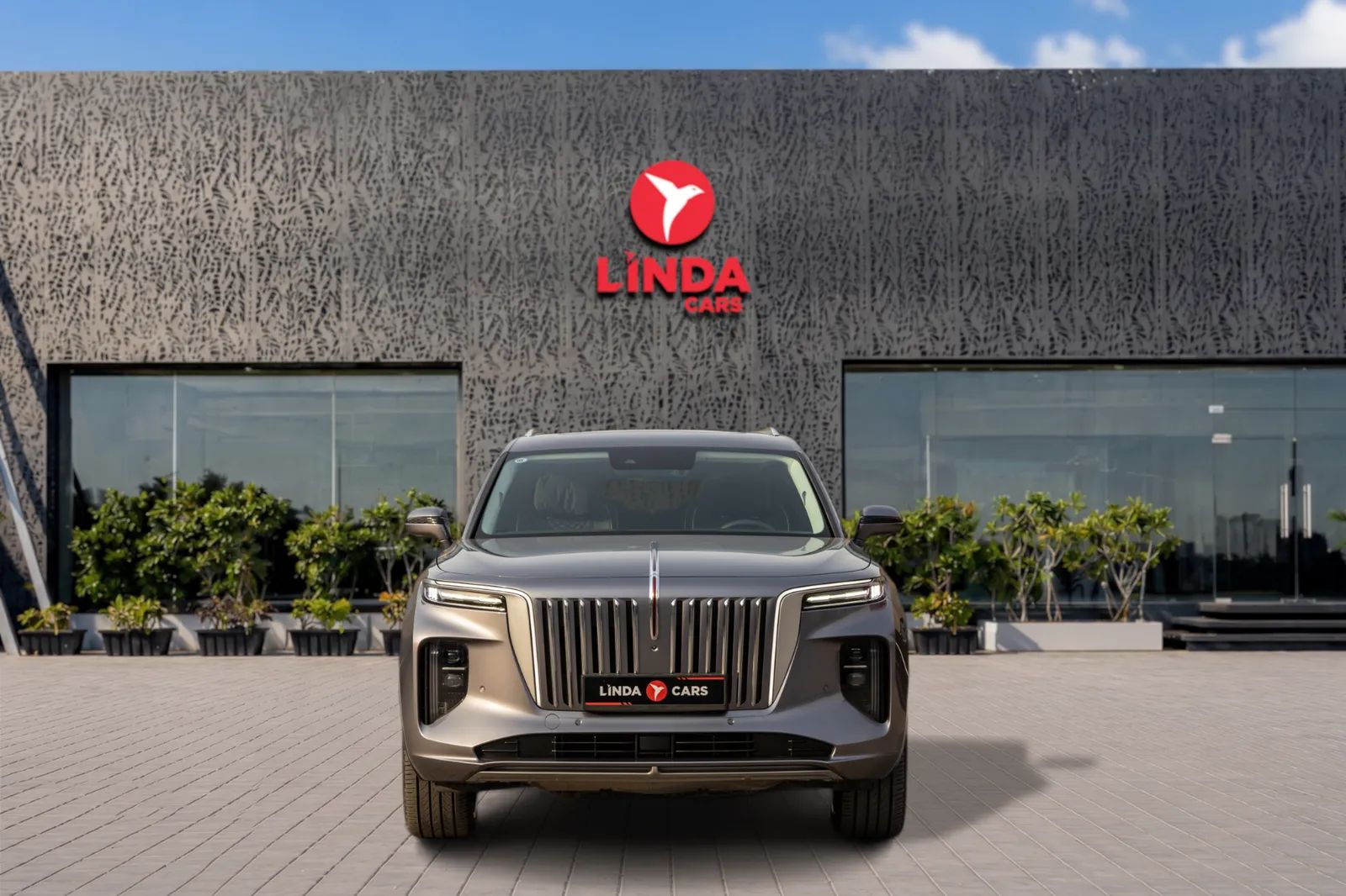 2024 Hongqi E-HS9 photo 2