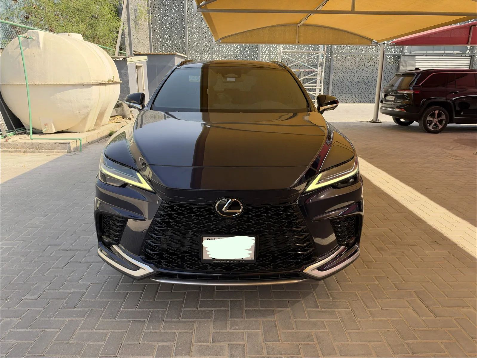 2023 Lexus RX photo 2