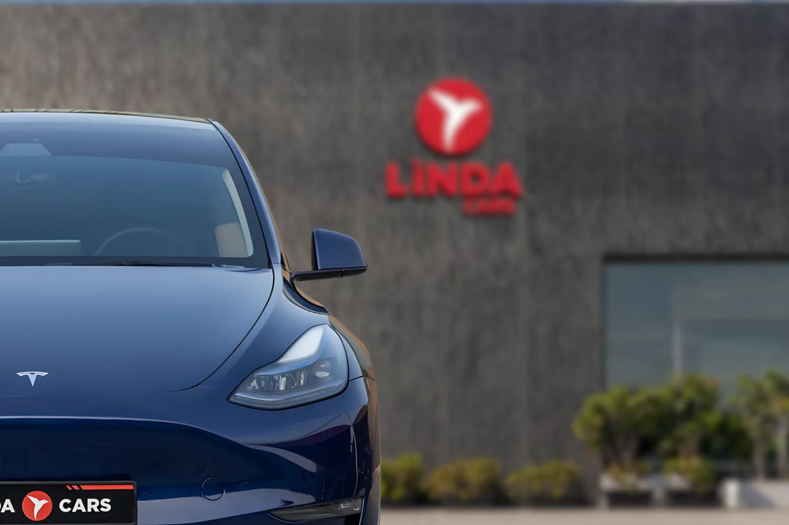 2023 Tesla Model Y photo 3