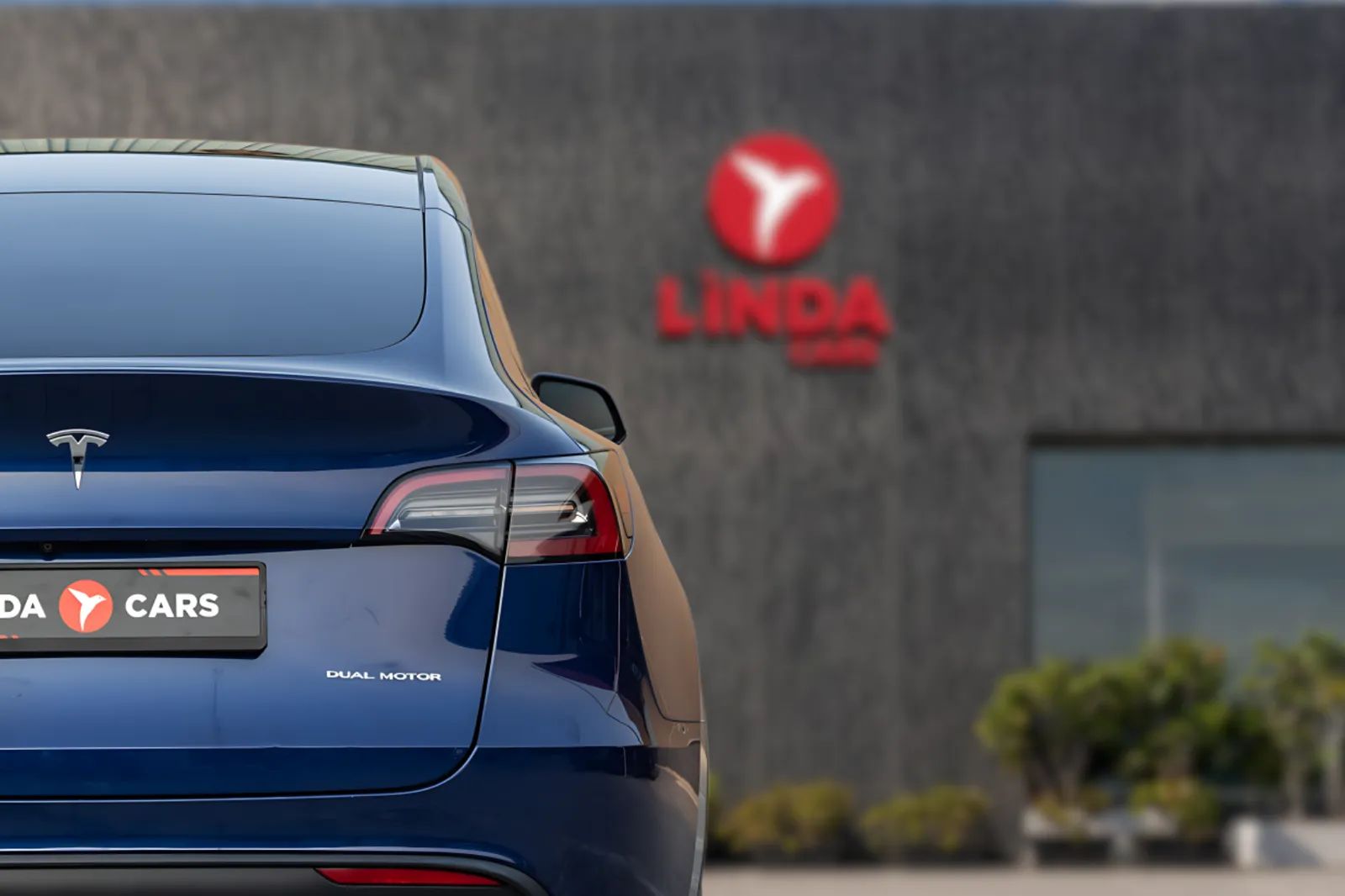 2023 Tesla Model Y photo 5