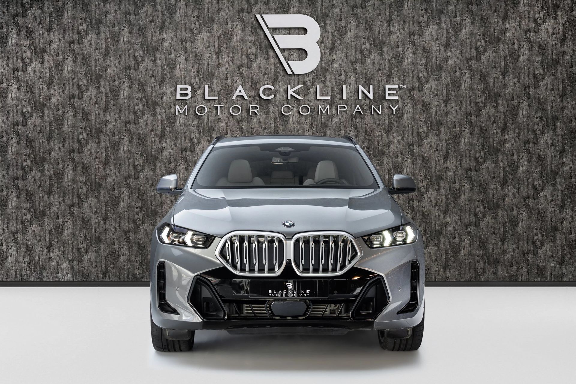2026 BMW X6 photo 2