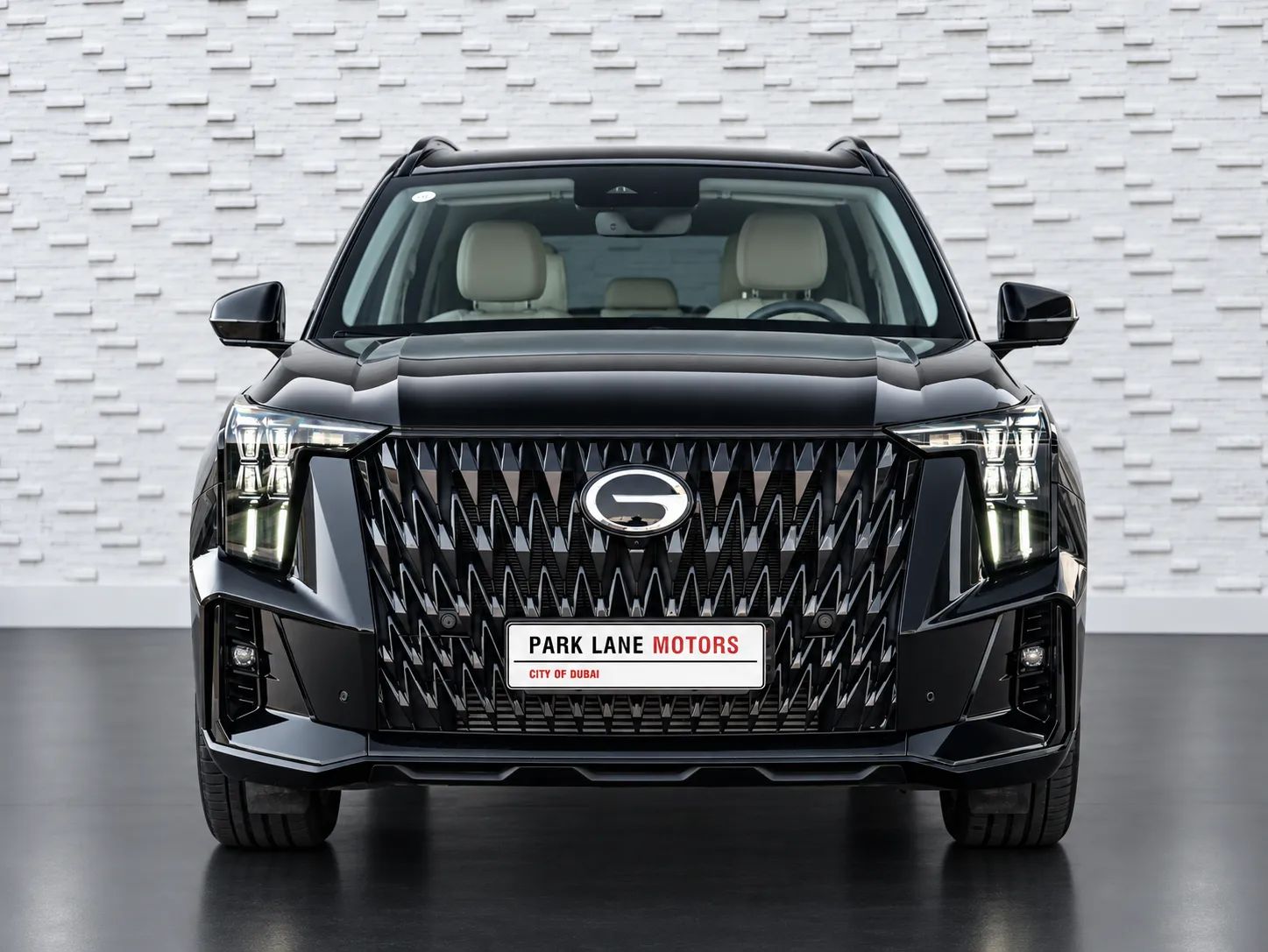 2026 GAC GS8 photo 2