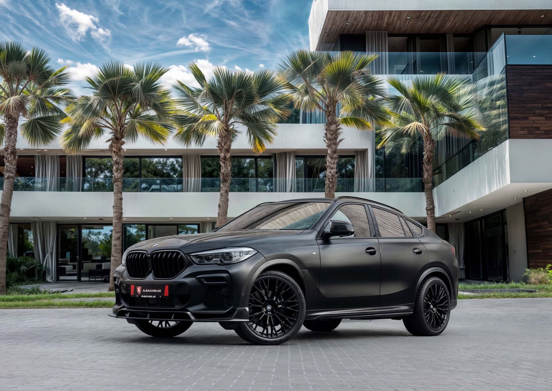 2021 BMW X6