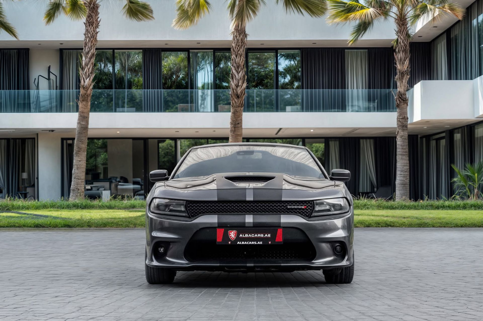 2019 Dodge Charger photo 4