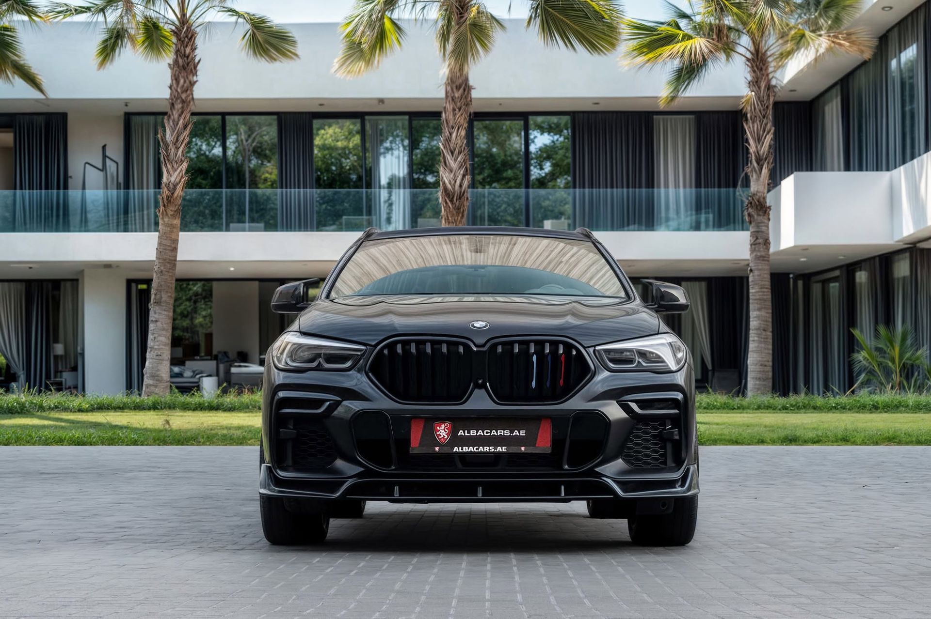 2021 BMW X6 photo 2