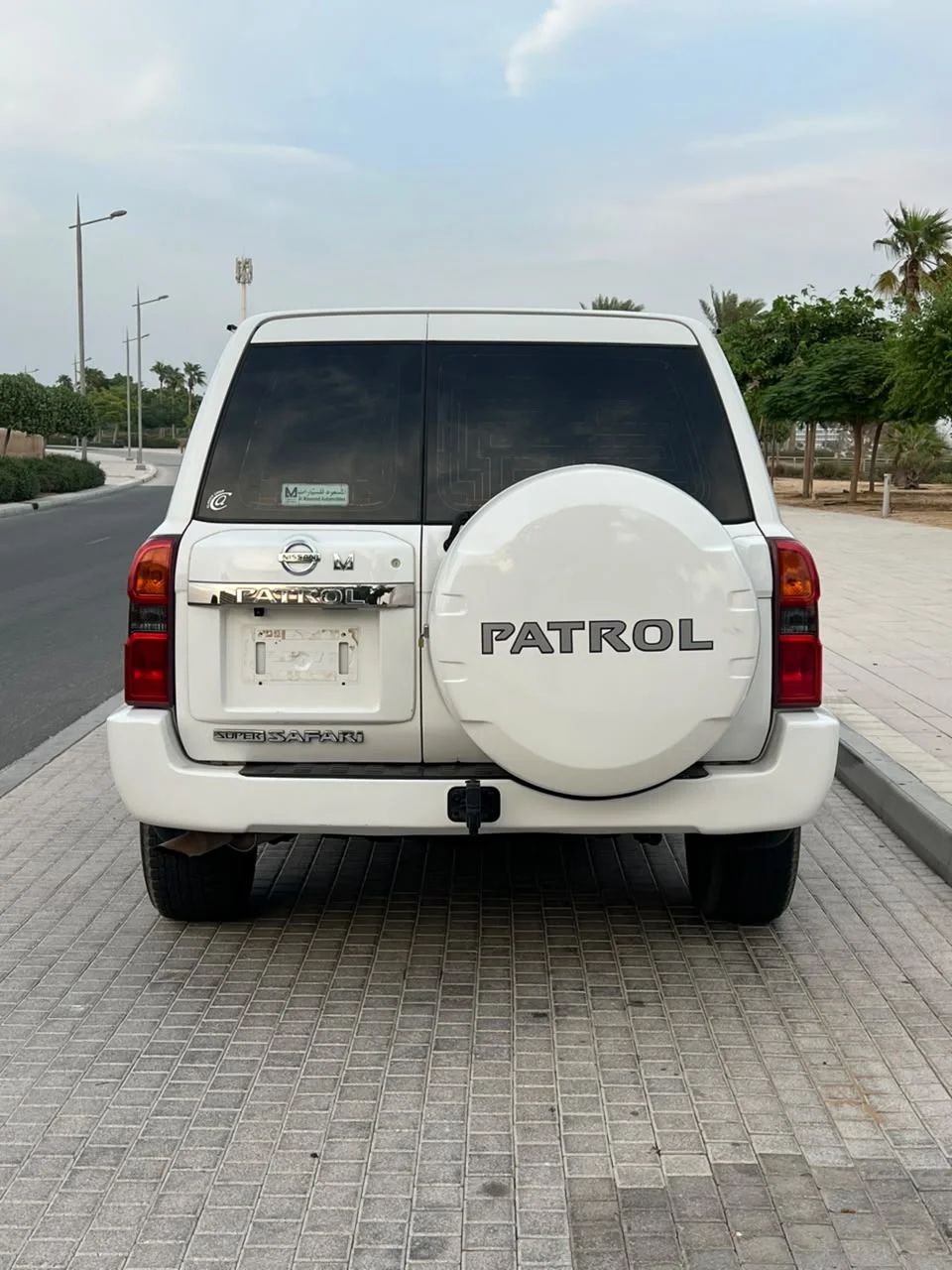 2008 Nissan Patrol photo 3