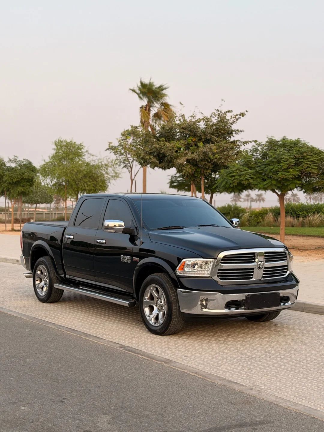 2014 Ram 2014 photo 2