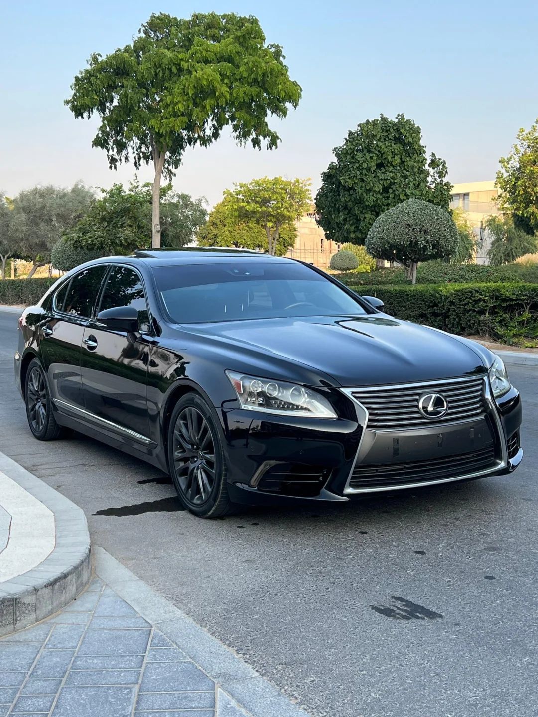 2014 Lexus LS photo 2