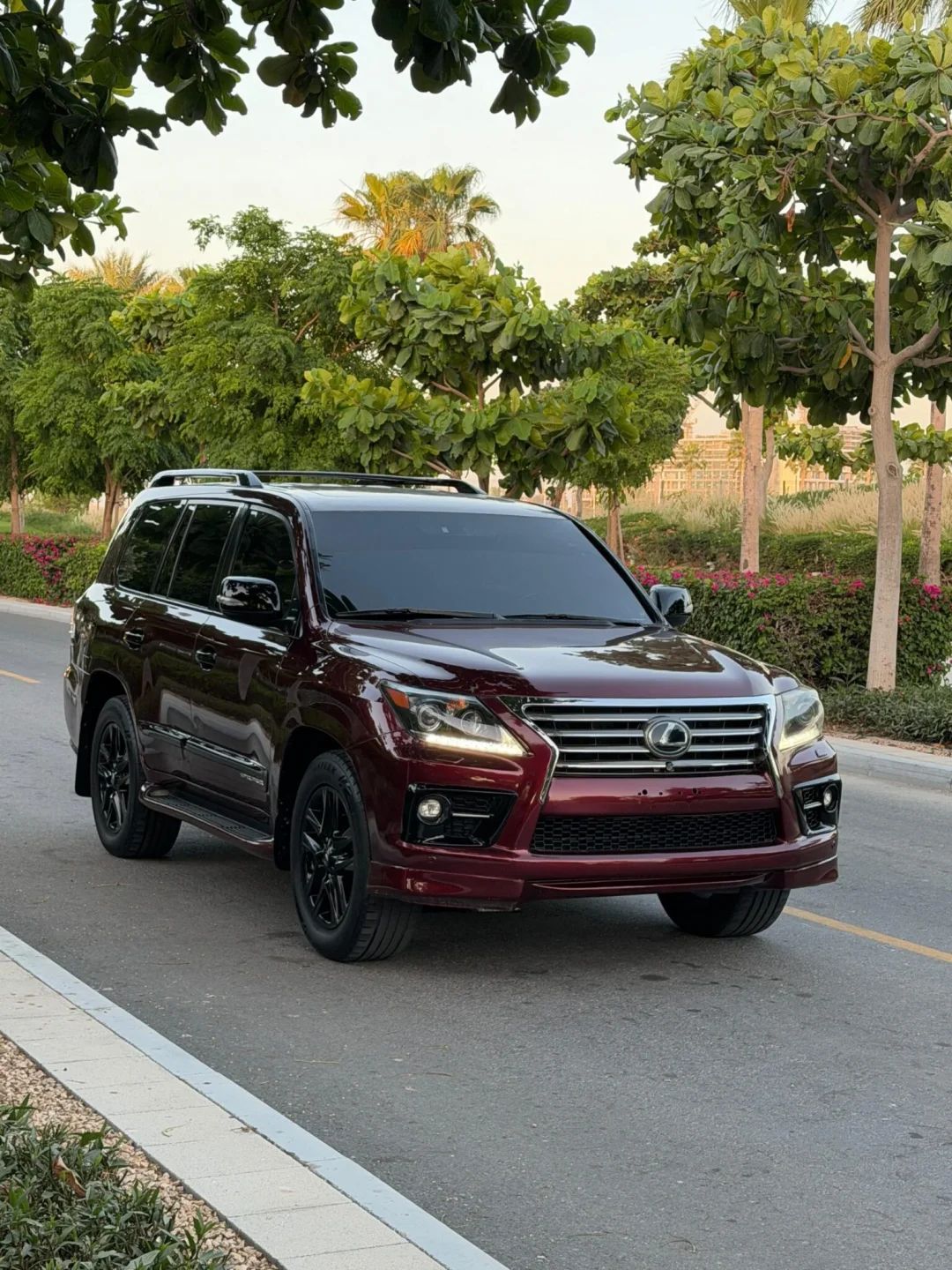2014 Lexus LX photo 2