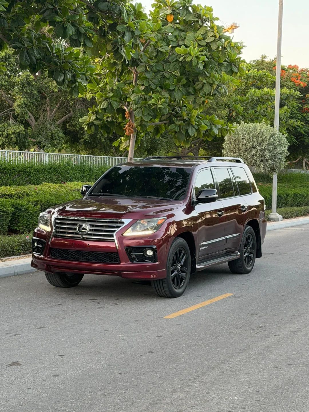 2014 Lexus LX photo 3