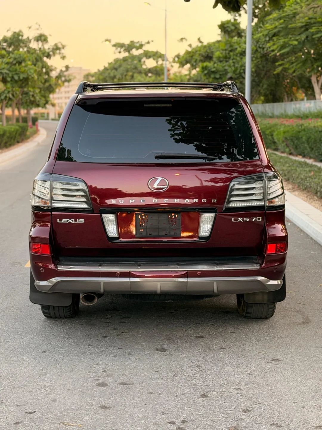 2014 Lexus LX photo 5