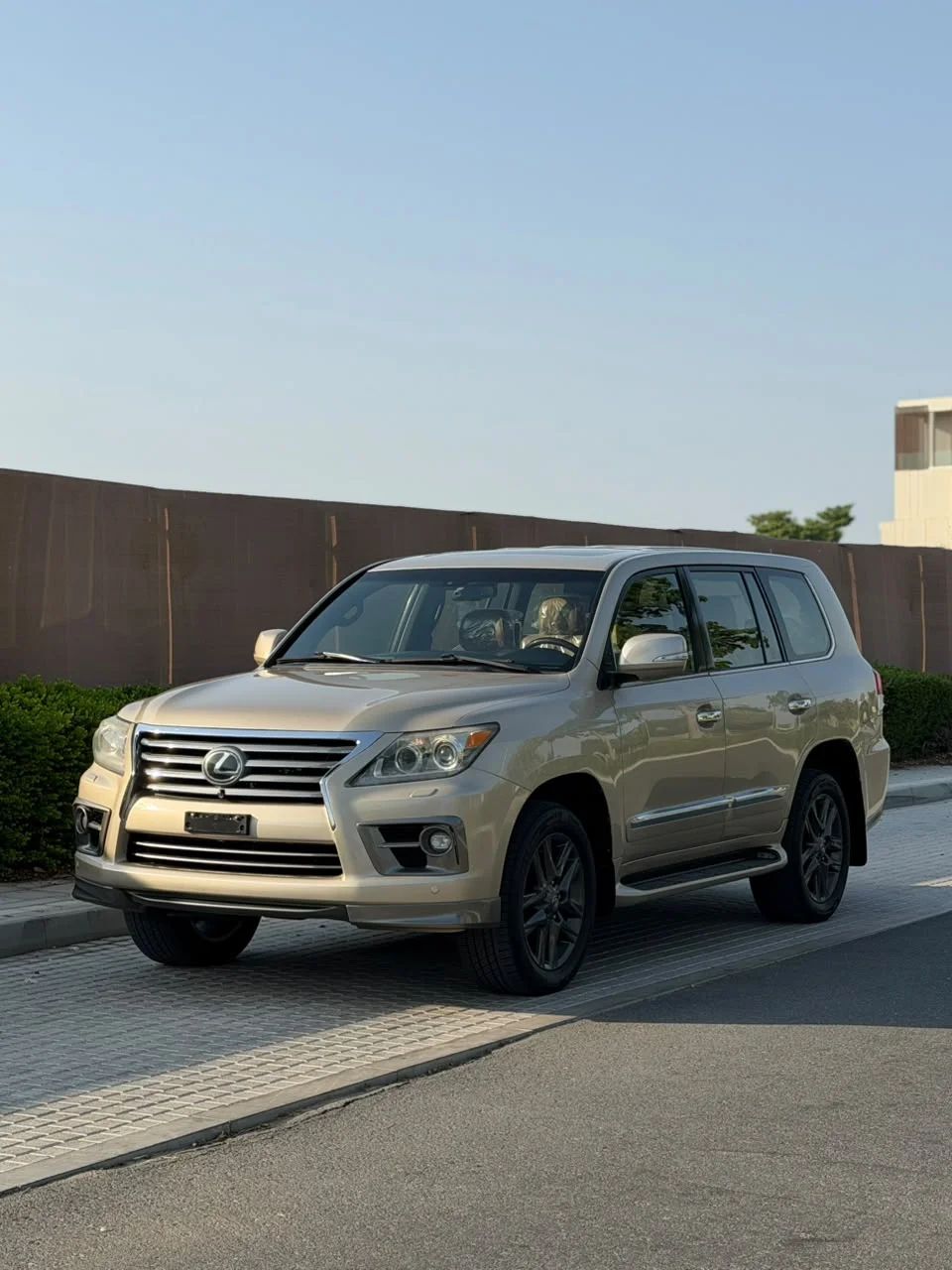 2014 Lexus LX photo 2