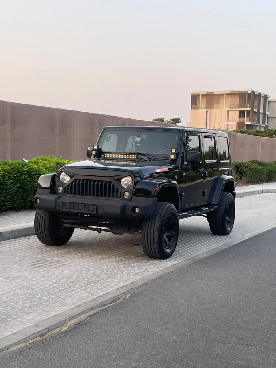 2016 Jeep Wrangler photo 3