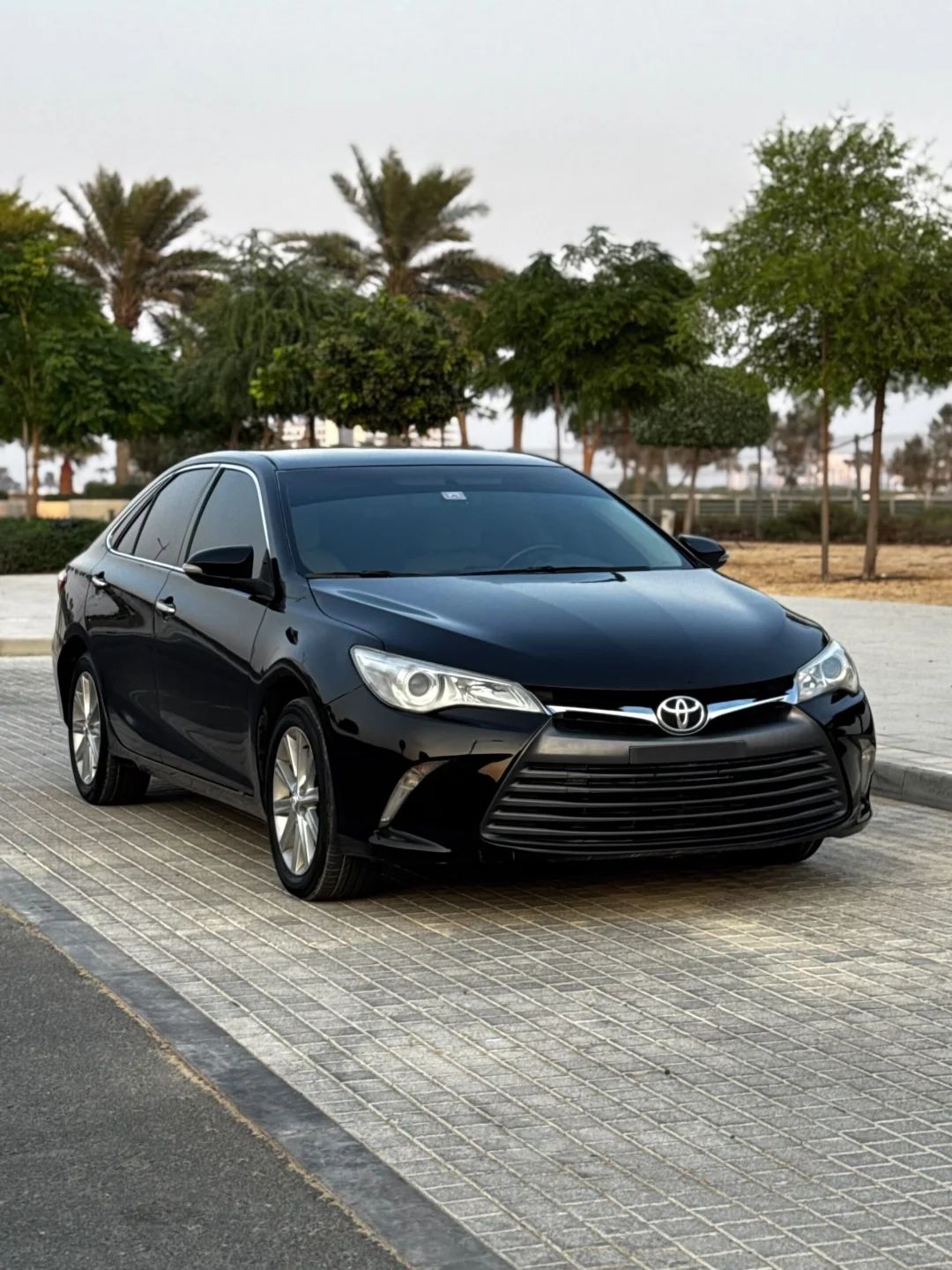 2016 Toyota Camry photo 2