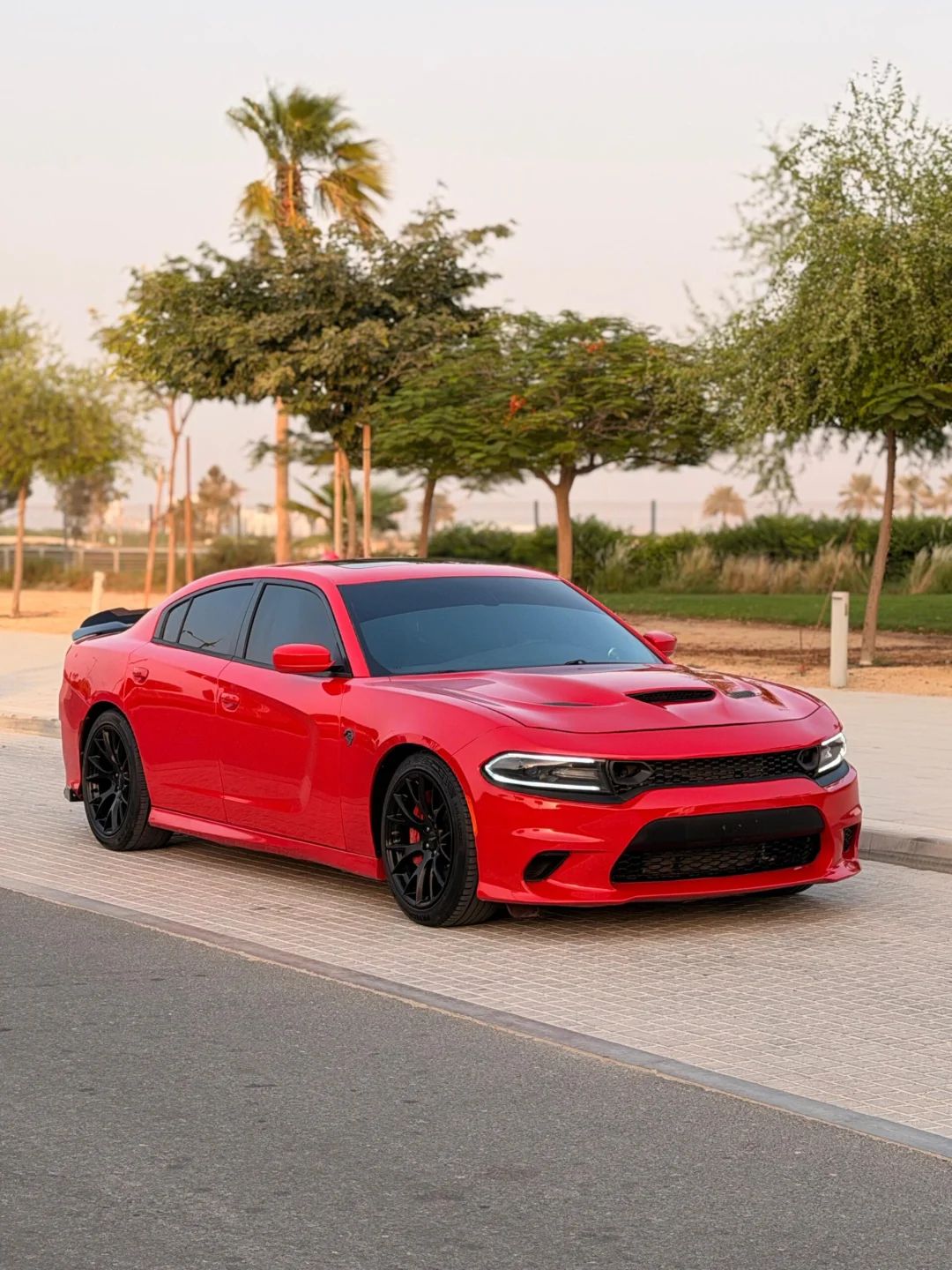 2018 Dodge Charger photo 2