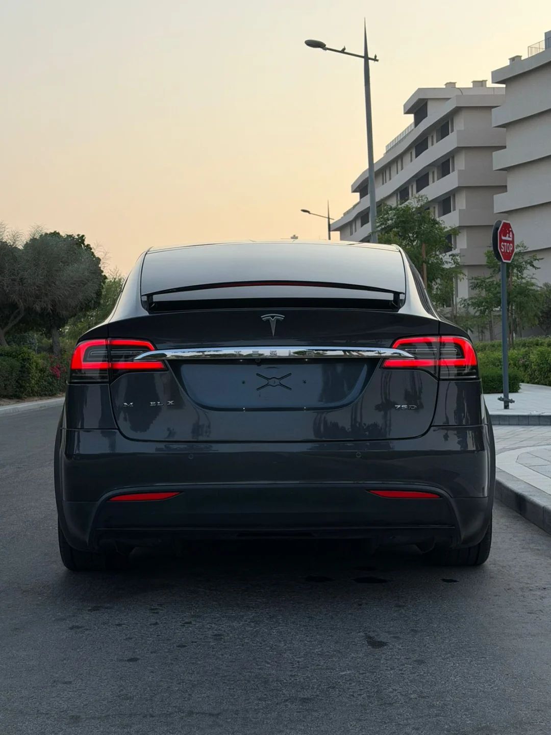 2018 Tesla Model X photo 5
