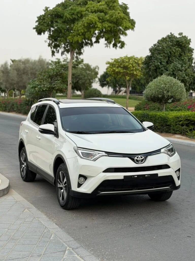 2018 Toyota RAV4 photo 3