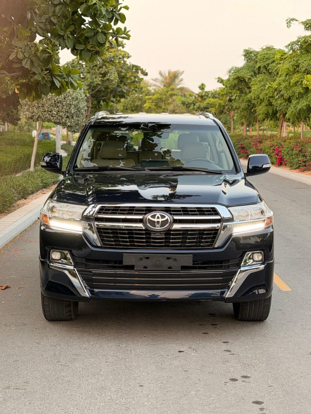 2019 Toyota Land Cruiser photo 2
