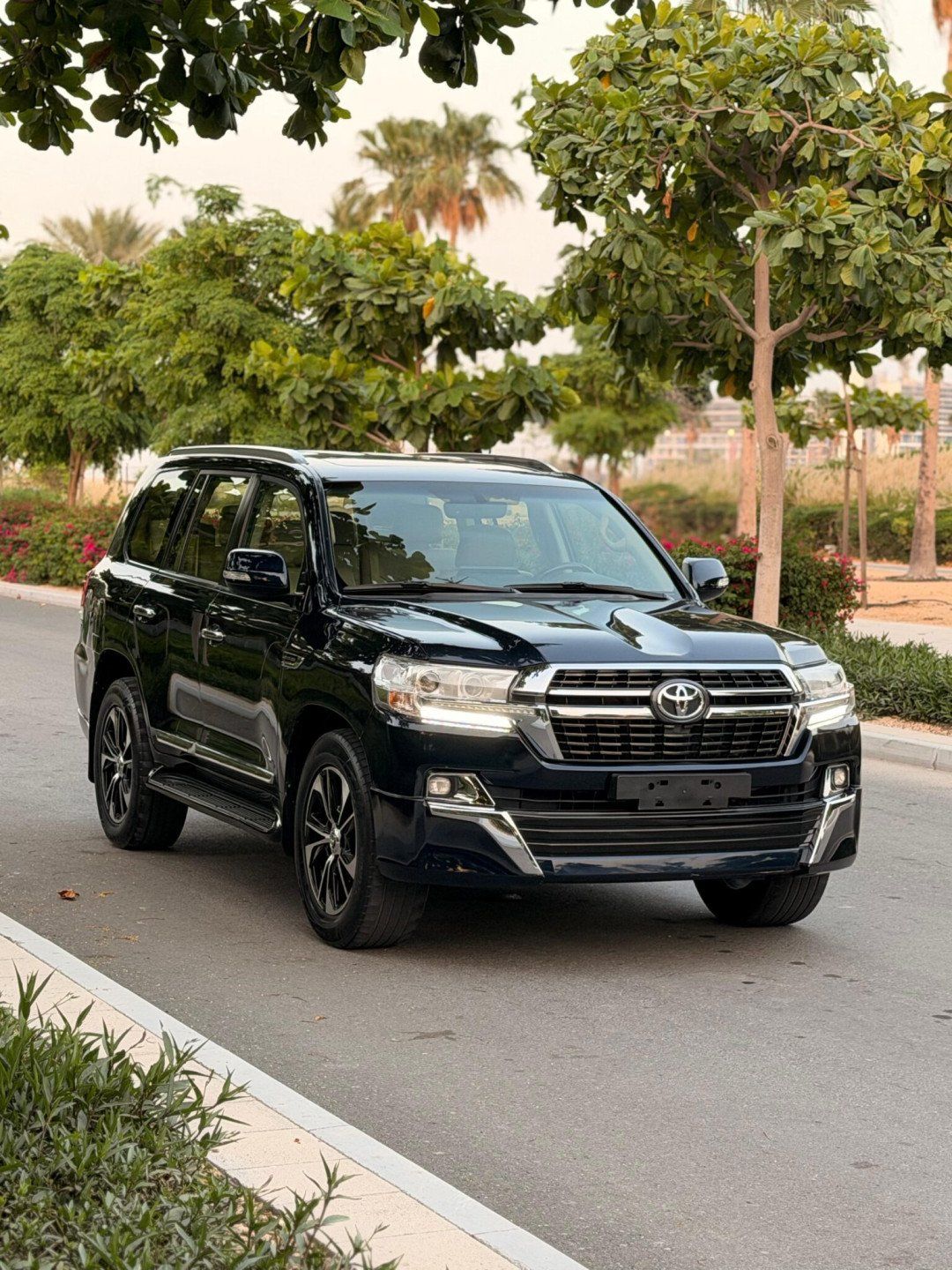 2019 Toyota Land Cruiser photo 3