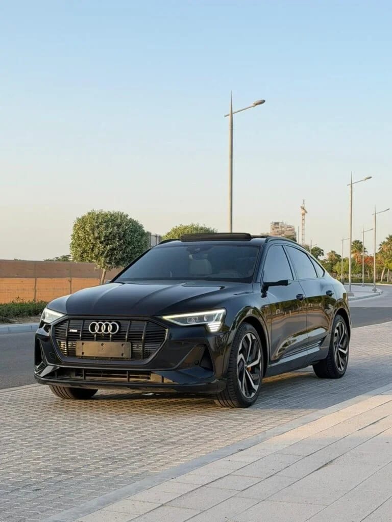2020 Audi Q8 e-tron