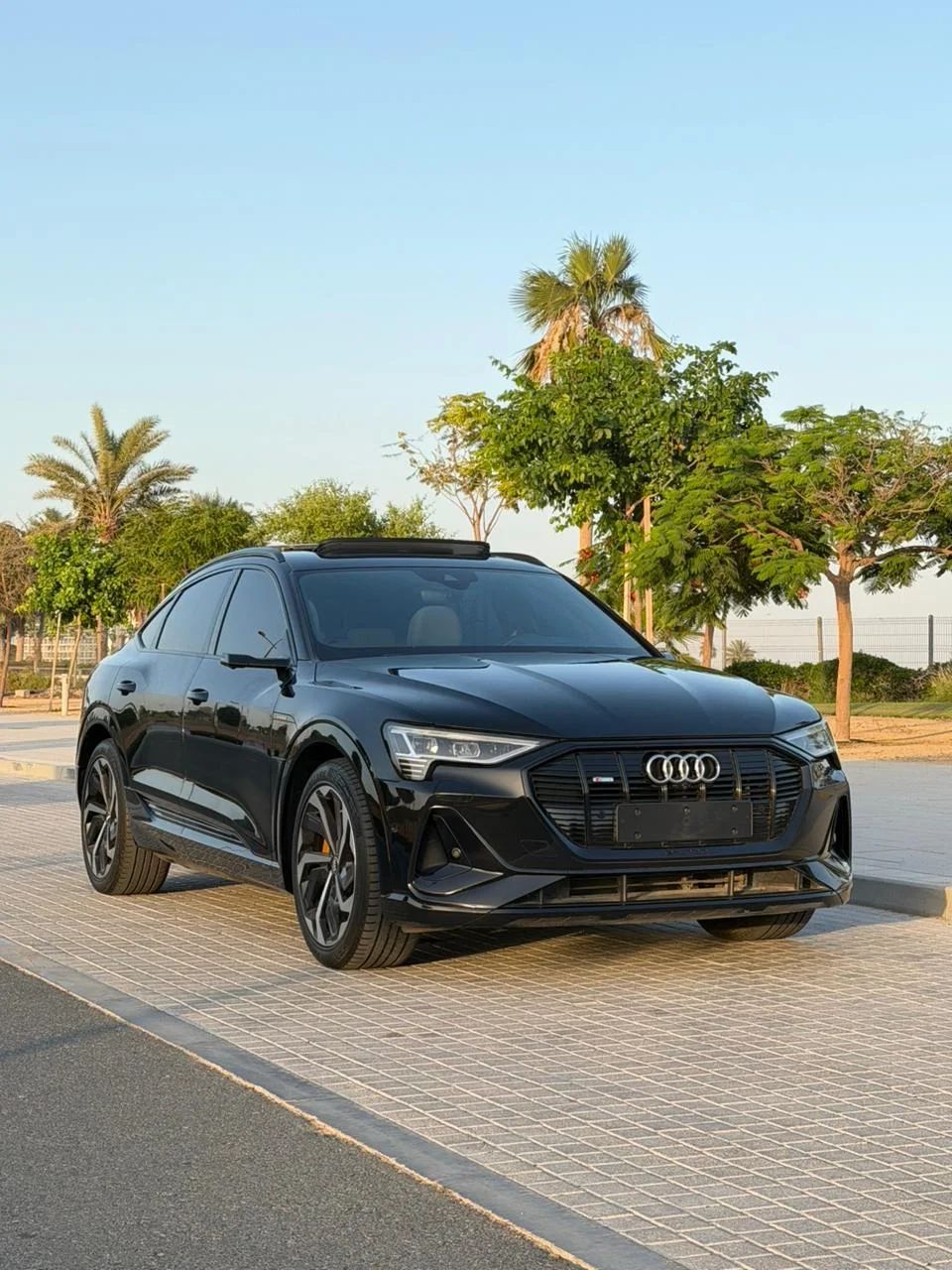 2020 Audi Q8 e-tron photo 2