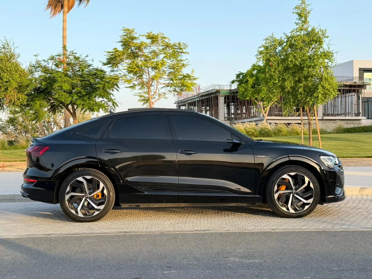 2020 Audi Q8 e-tron photo 3