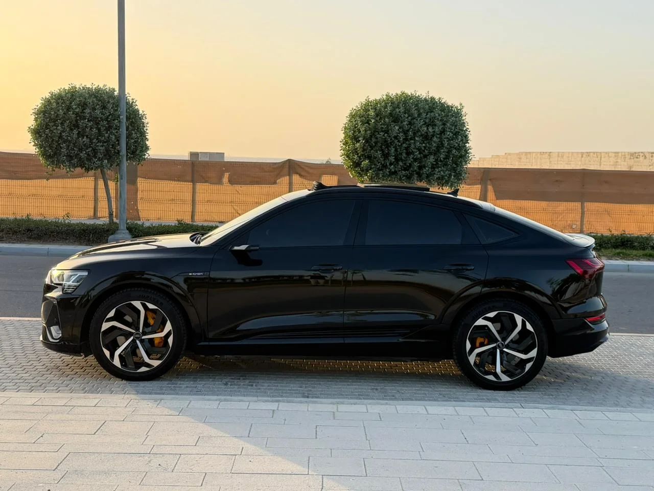 2020 Audi Q8 e-tron photo 4