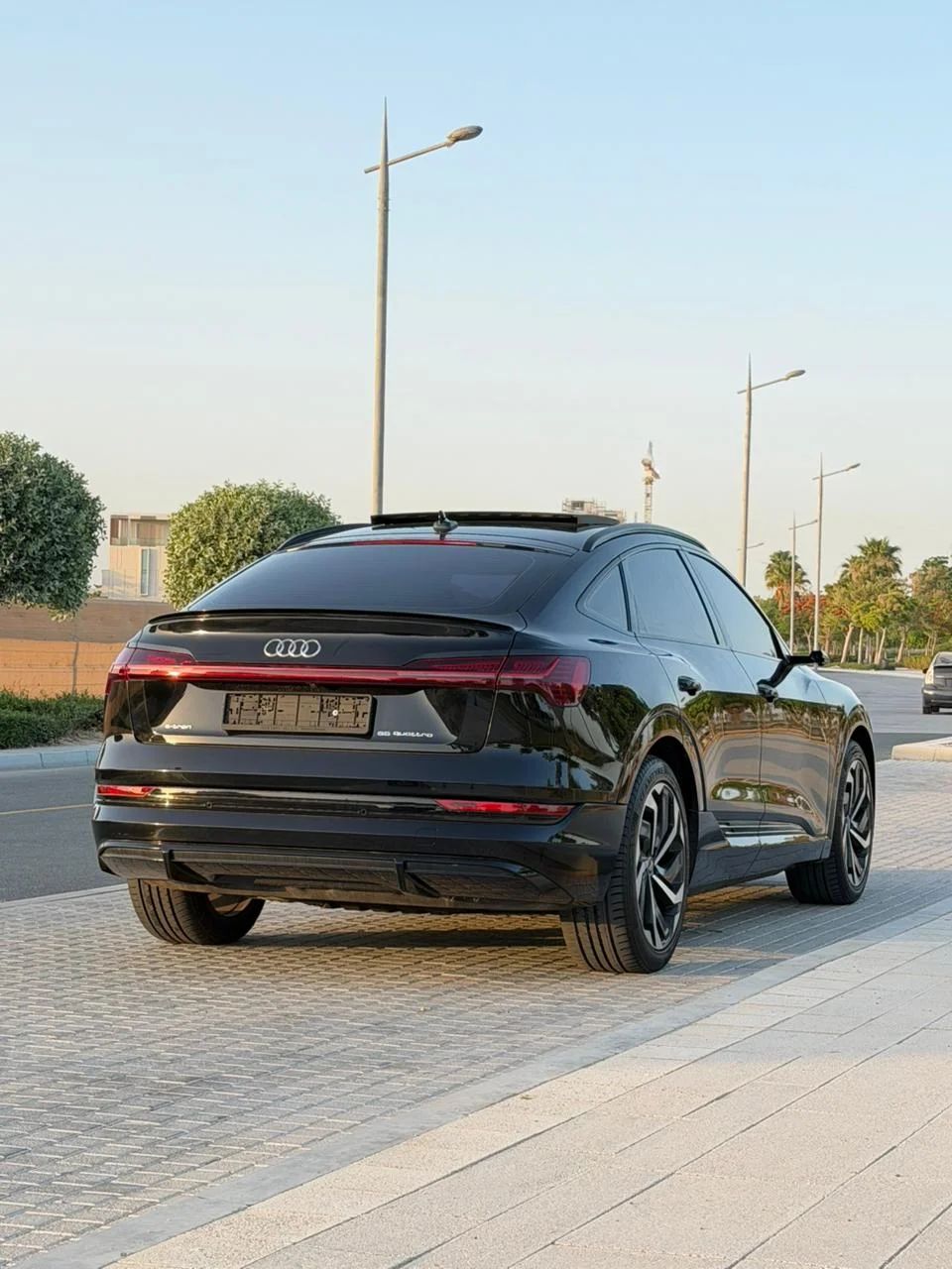2020 Audi Q8 e-tron photo 5