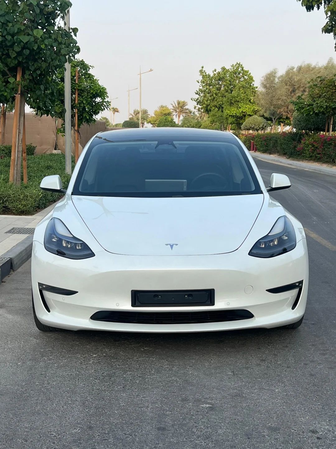 2021 Tesla Model 3 Long Range GCC Specs