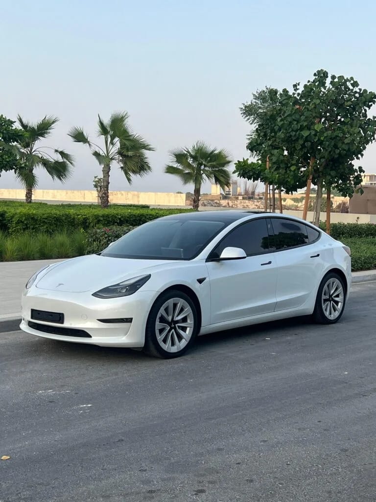 2021 Tesla Model 3 photo 2